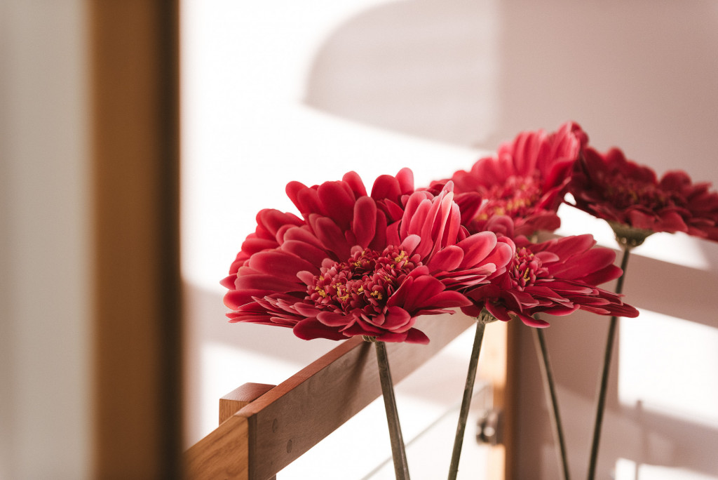 Des fleurs rouges à la clinique de la femme